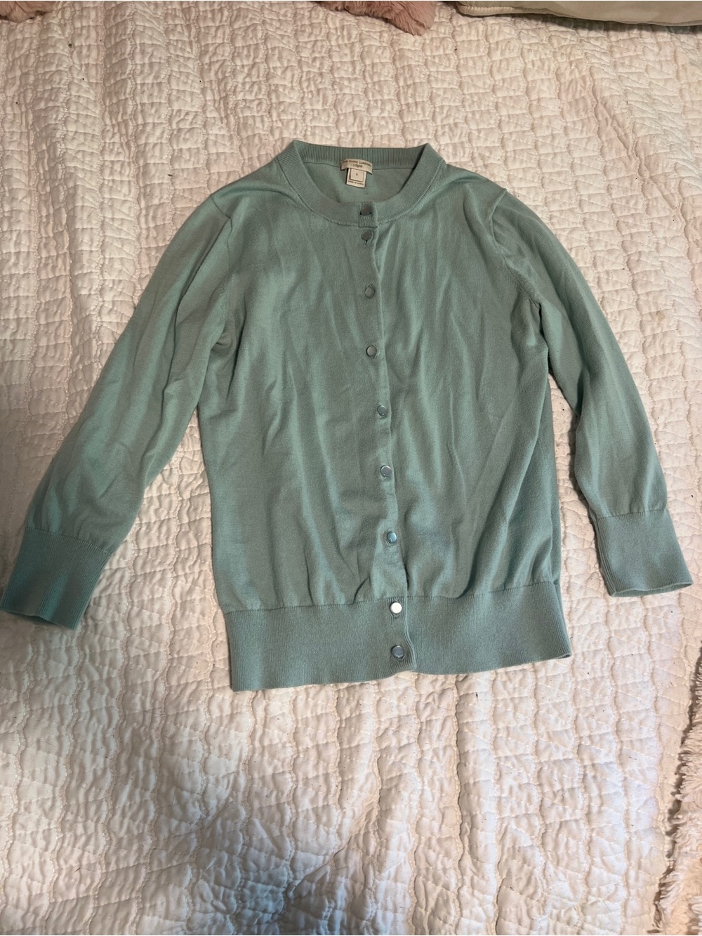 J. Crew Seafoam Green Crewneck Button Cardigan